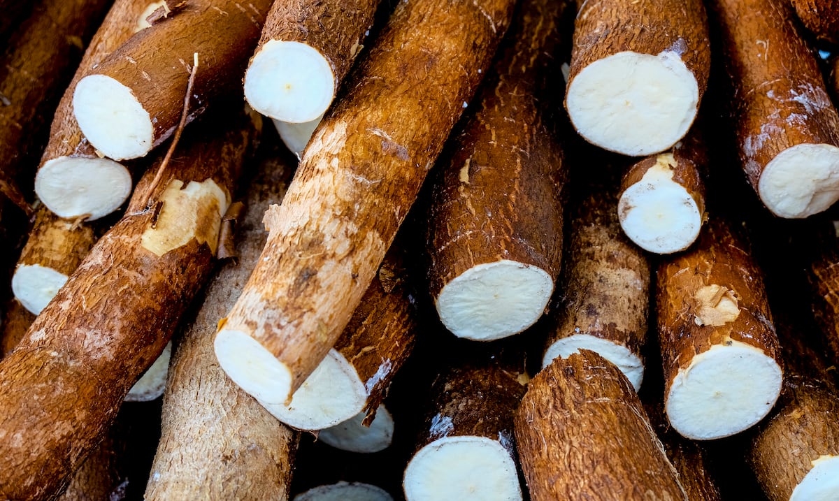 Iba oculta en yuca: decomisan casi 350 libras de cocaína en Costa Rica