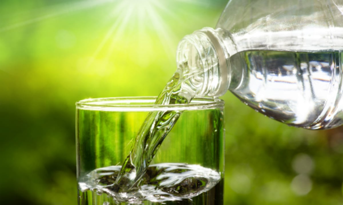 Cuánta agua se debe tomar en los días de mucho calor: esto recomiendan los expertos