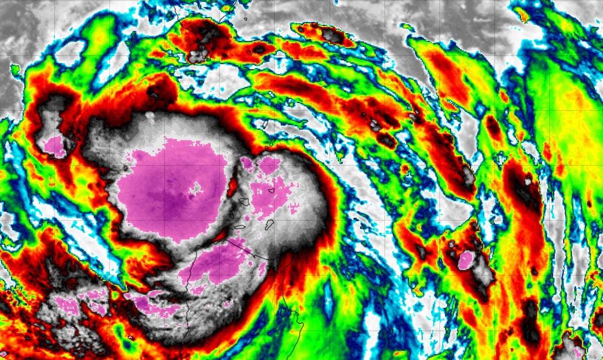 Tifón derriba árboles y afecta a cientos de vuelos en Hong Kong y China