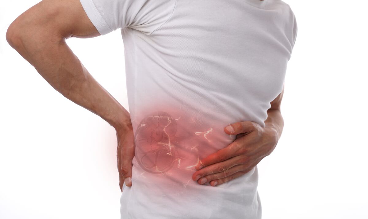Siete consejos para cuidar los riñones y prevenir enfermedades: hábitos simples pero poderosos