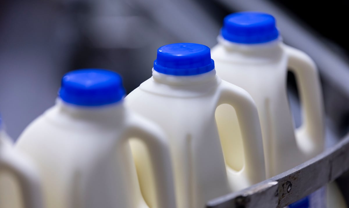 Evaluarán posibles cambios en el precio de la leche en Puerto Rico