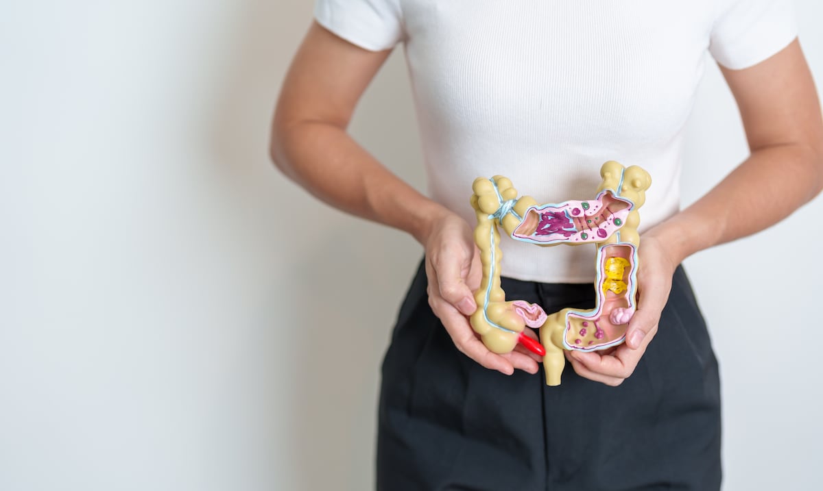 ¿Sexto sentido oculto? Explican el vínculo entre el cerebro, el intestino y la regulación del apetito
