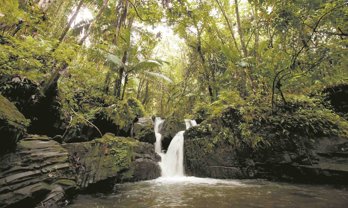 Opinión | El acceso al agua es un derecho humano
