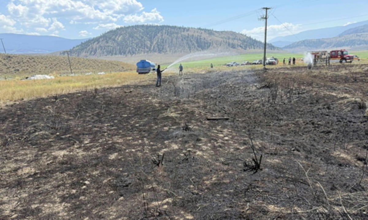 Insólito: incendio forestal en Canadá fue causado por pez que cayó de las garras de un ave