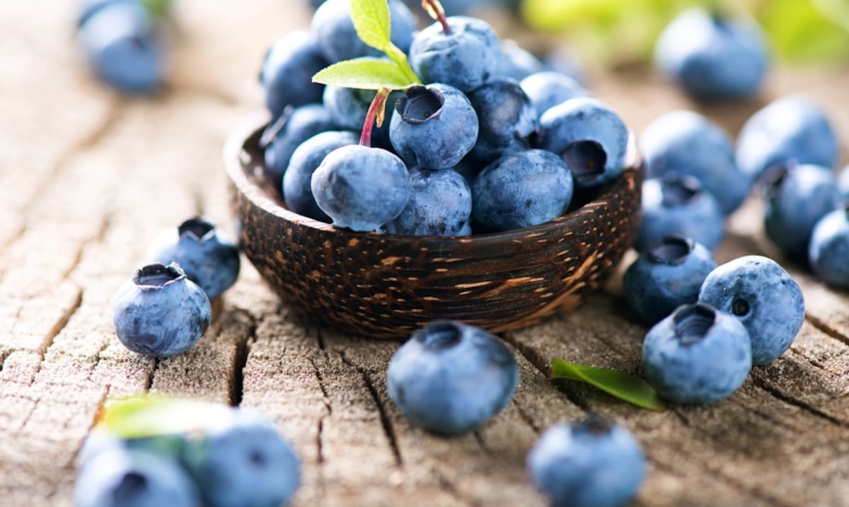 Lo que limpia el jugo de arándano, según evidencia científica