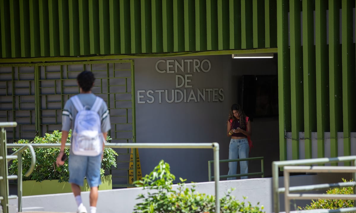 Sencillas y saludables: 6 recetas para universitarios