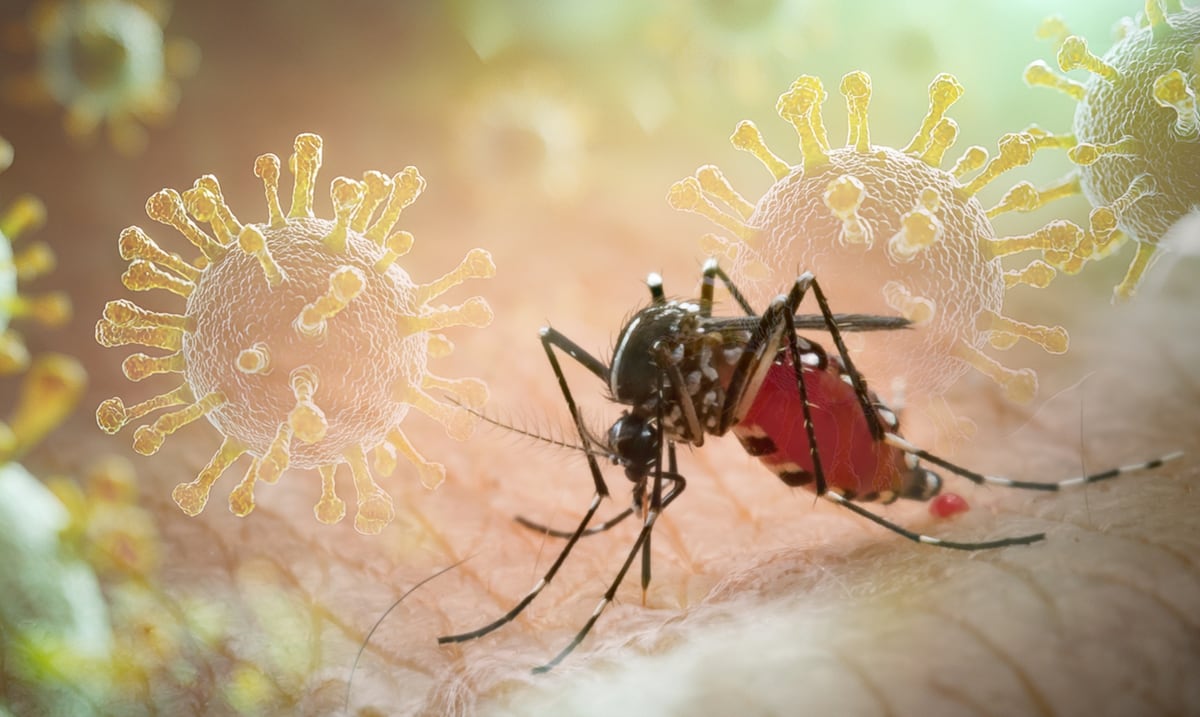 Actúa rápido ante posibles síntomas de dengue