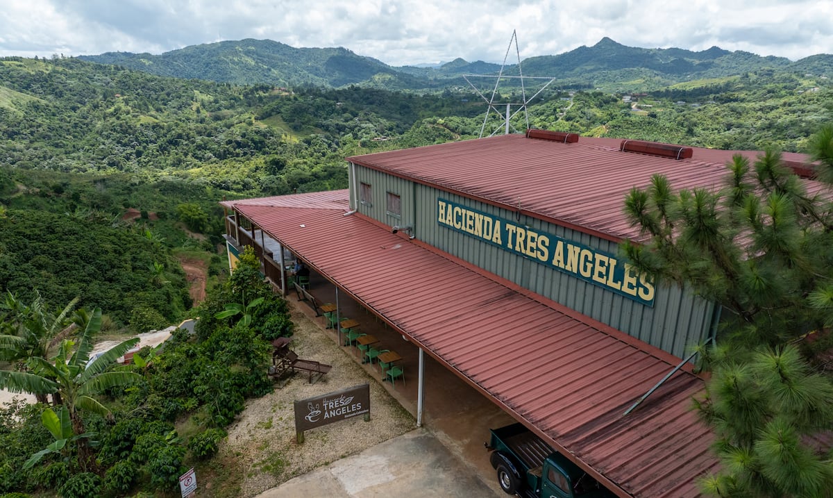 Hacienda Tres Ángeles: 100 cuerdas con olor a café arábica
