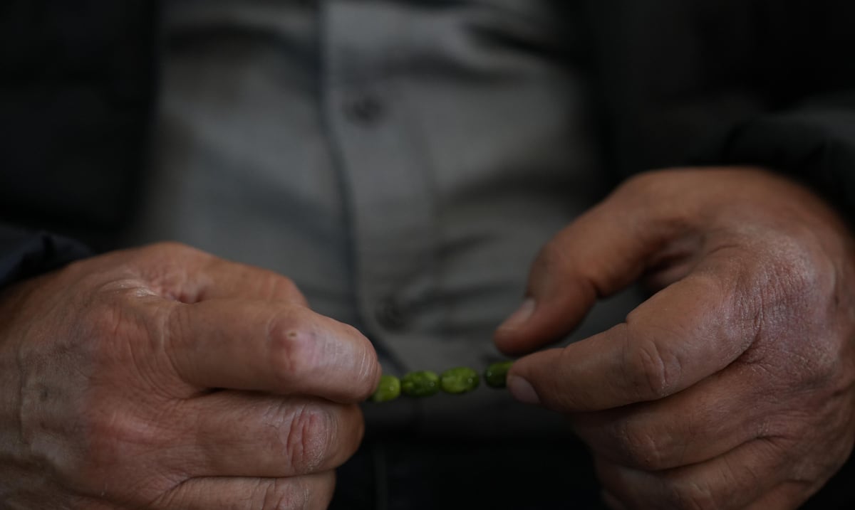 Identifican una hormona natural que protege a las neuronas del daño que causa el Parkinson