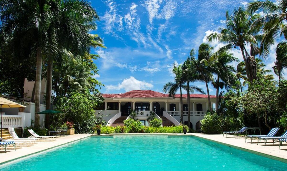 A juicio el Horned Dorset Primavera por apropiación ilegal