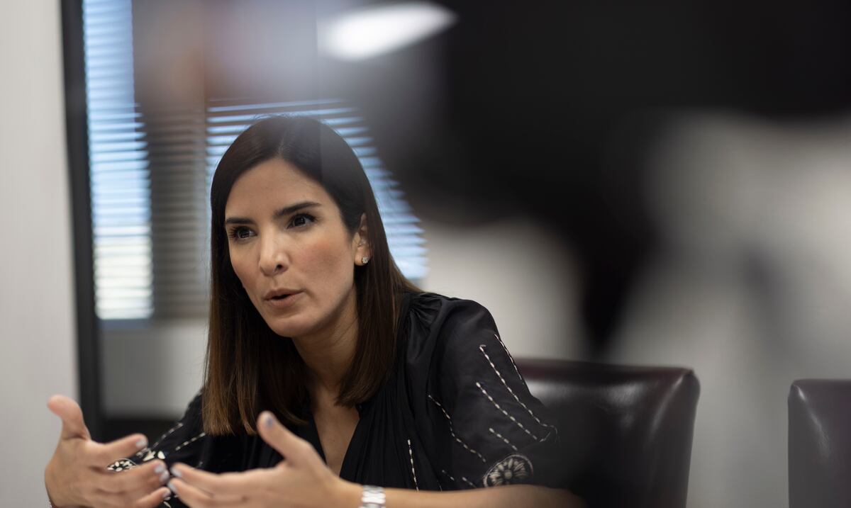 Banquero internacional demanda a la comisionada de Instituciones Financieras