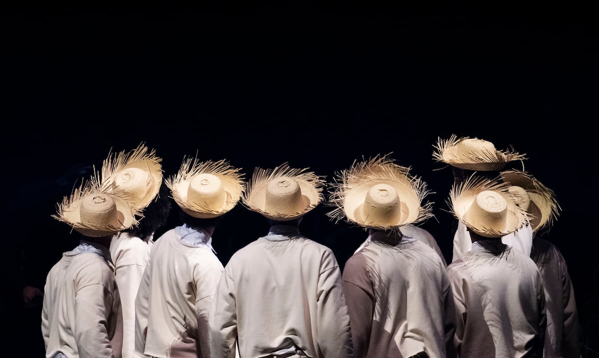 De las fincas a Bad Bunny: la historia detrás de la pava jíbara