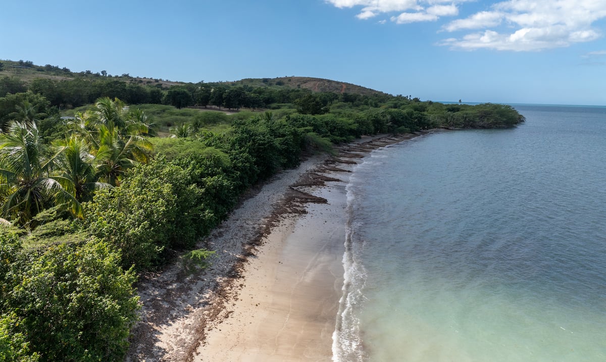Esencia: la controversia por playa virgen en Cabo Rojo