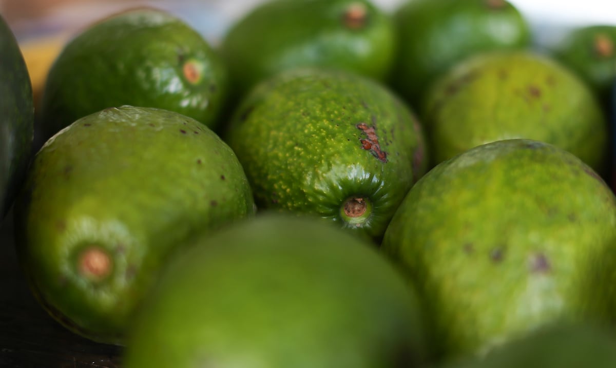 Cuatro beneficios del aguacate y quiénes no deberían consumirlo