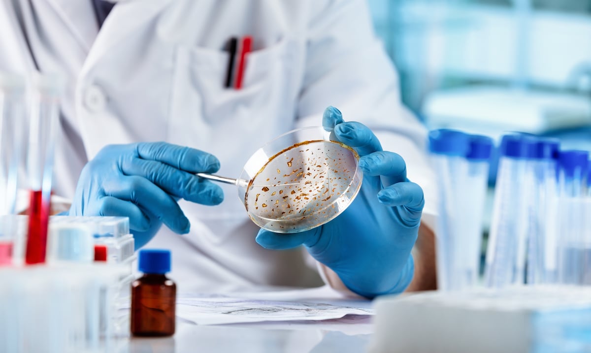 Opinión | Un rayo de esperanza en la lucha contra el cáncer