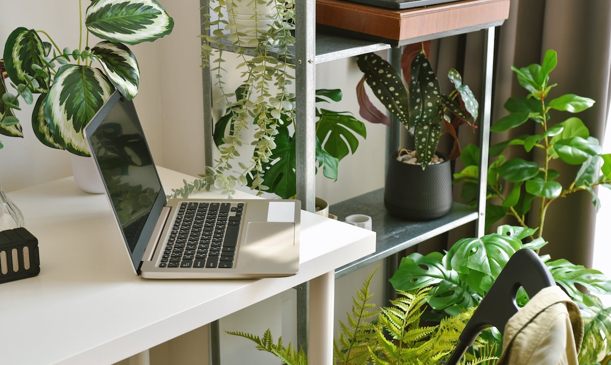 Opinión | Un “break” verde e intencional para transformar el negocio