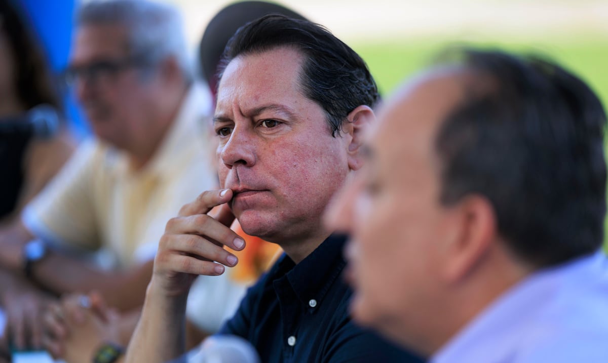 Juan Dalmau buscará cancelar los contratos de privatización del servicio eléctrico como parte de su plan de política ambiental