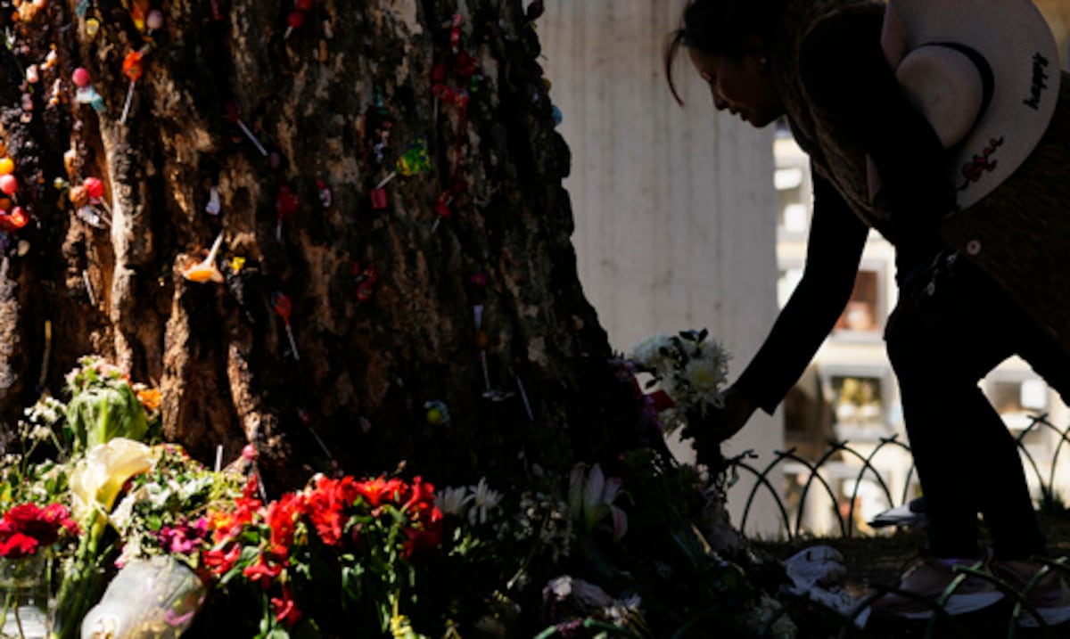 Con monedas, rezos y abrazos: devotos veneran a un “árbol milagroso” en Bolivia