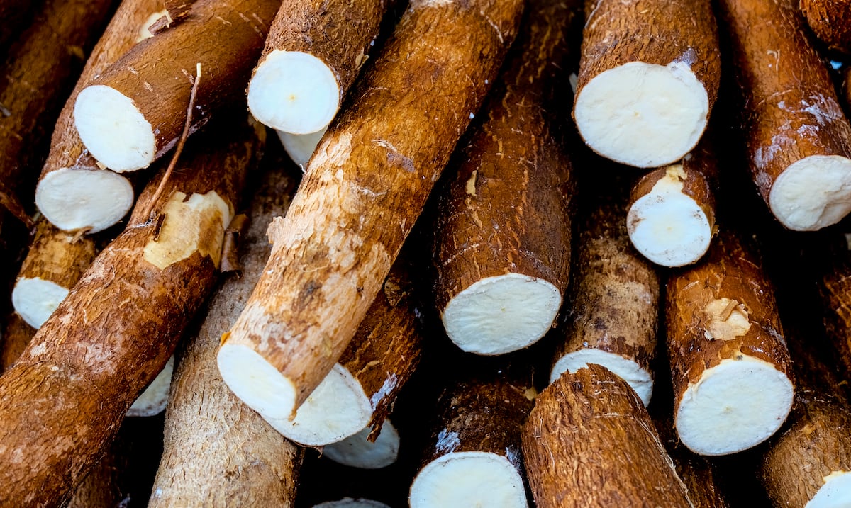 ¿Por qué debes comer yuca? Conoce seis de sus beneficios para la salud