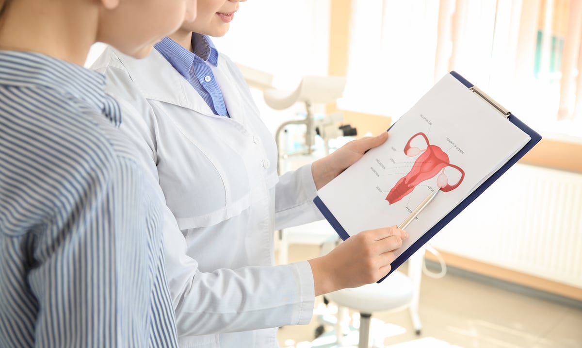 Investigación revela que tejidos que rodean los ovarios son esenciales para la fertilidad