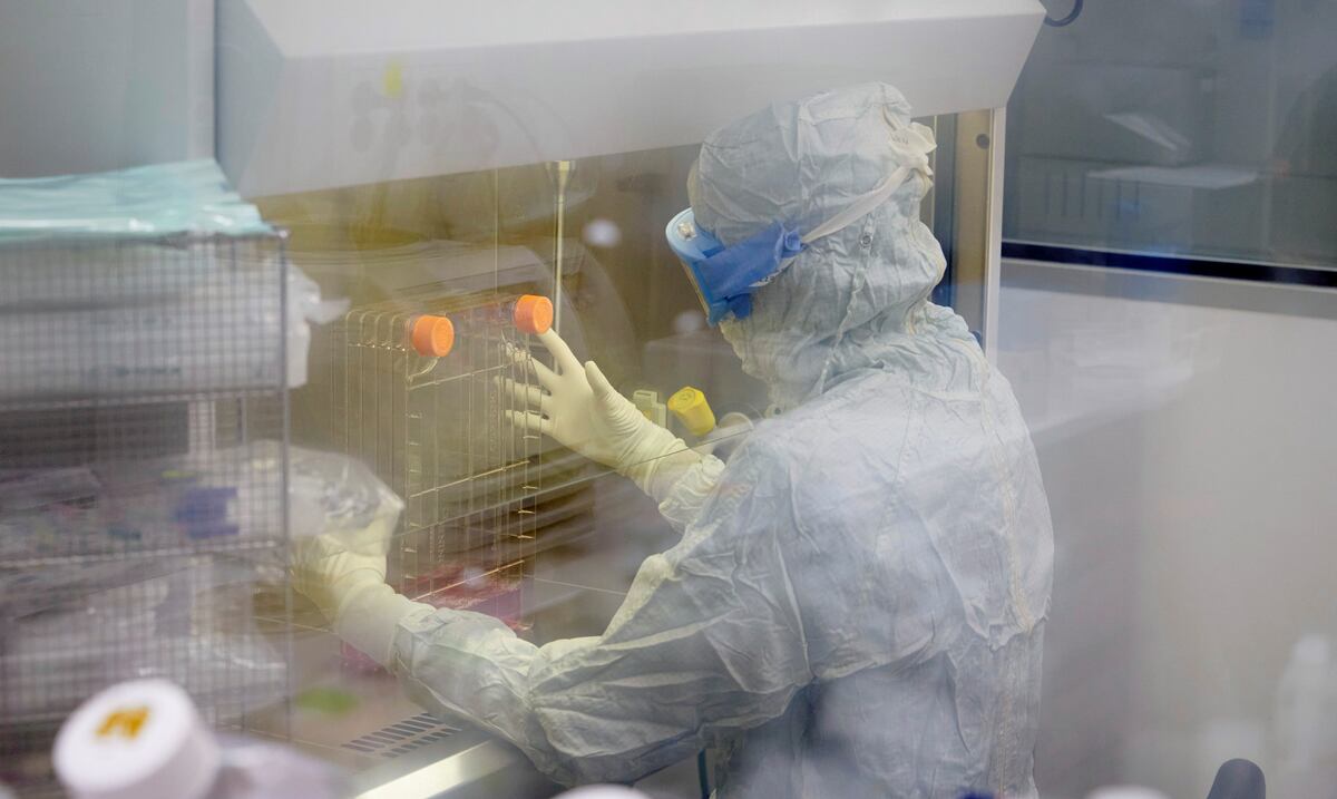 La edición genética podría revolucionar tratamiento contra el cáncer