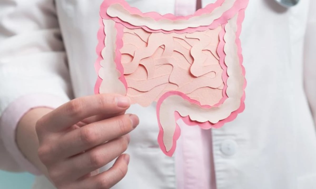 La microbiota juega un papel clave en la capacidad de atención de personas con obesidad