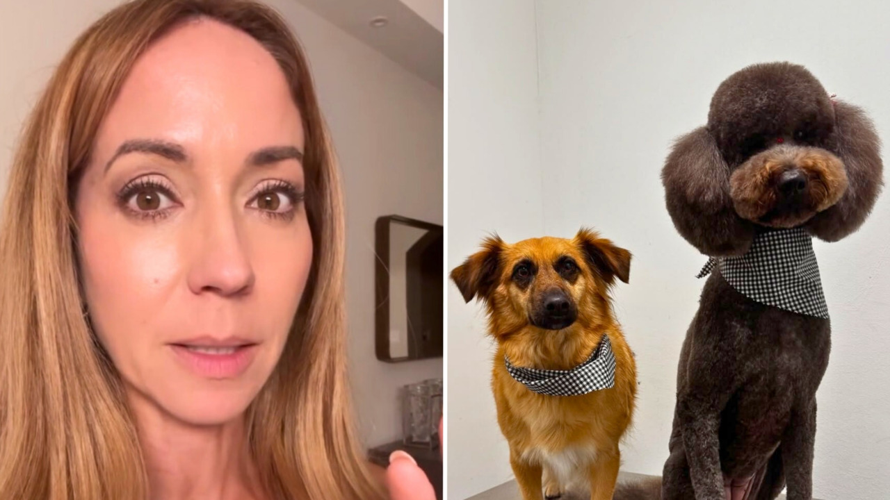 Así pilló Alexandra Fuentes a sus perros en su peor travesura