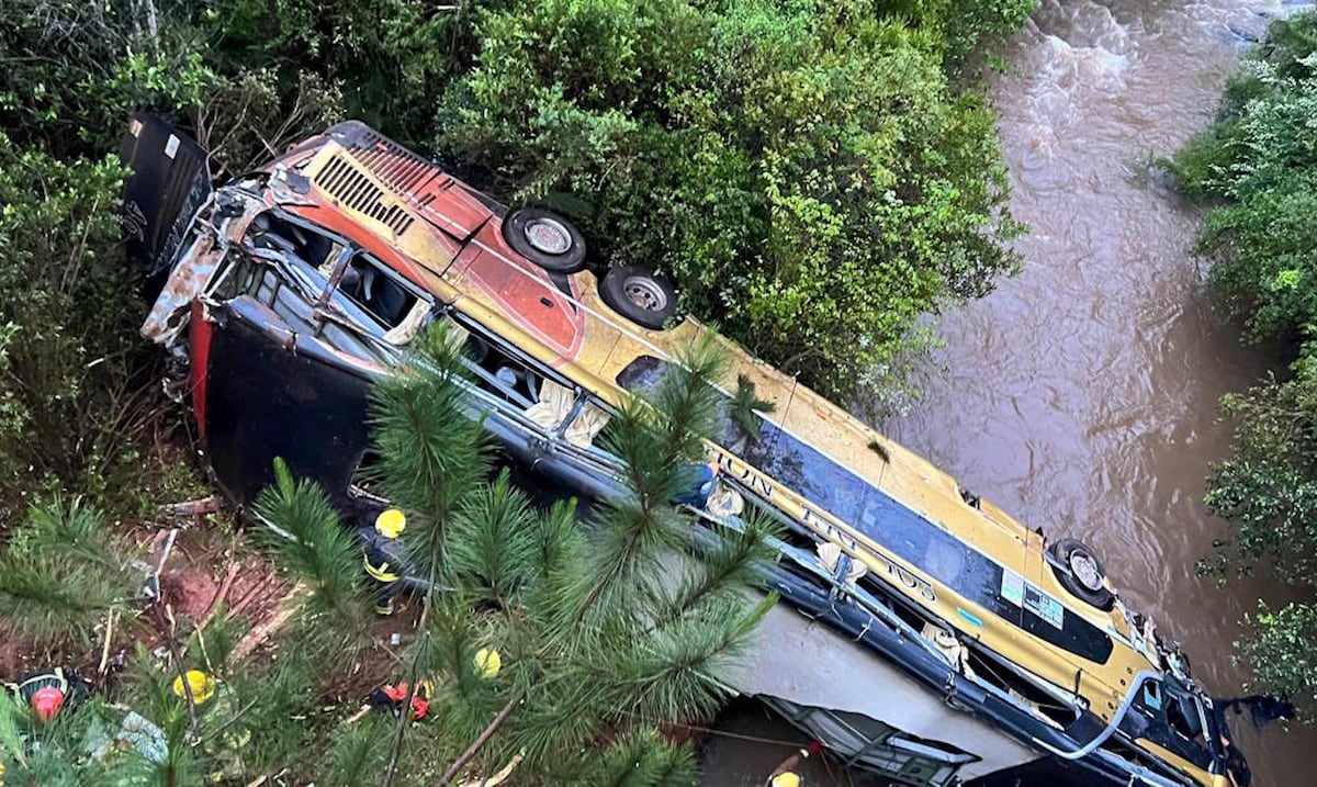 Ocho muertos y varios heridos al caer un autobús desde un puente en Argentina