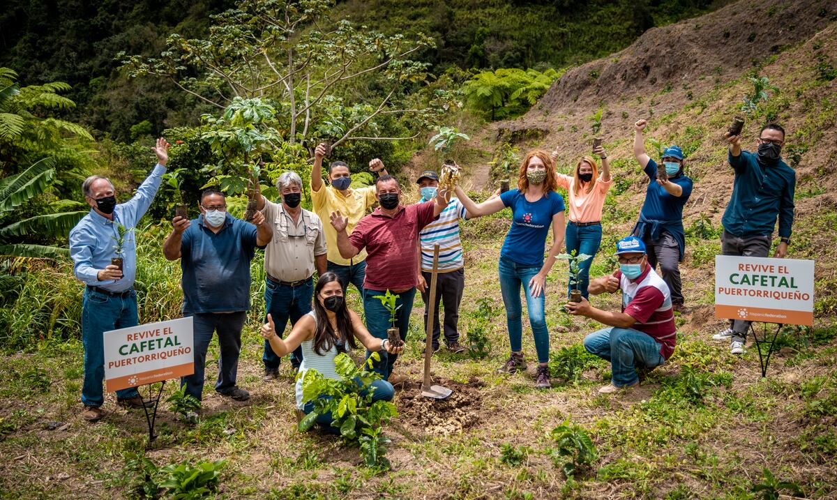 Hispanic Federation celebra el millón de árboles de café sembrados en Puerto Rico