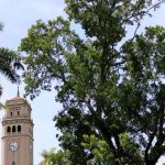 Amantes de los libros, prepárense: la Feria Internacional del Libro llega a Río Piedras