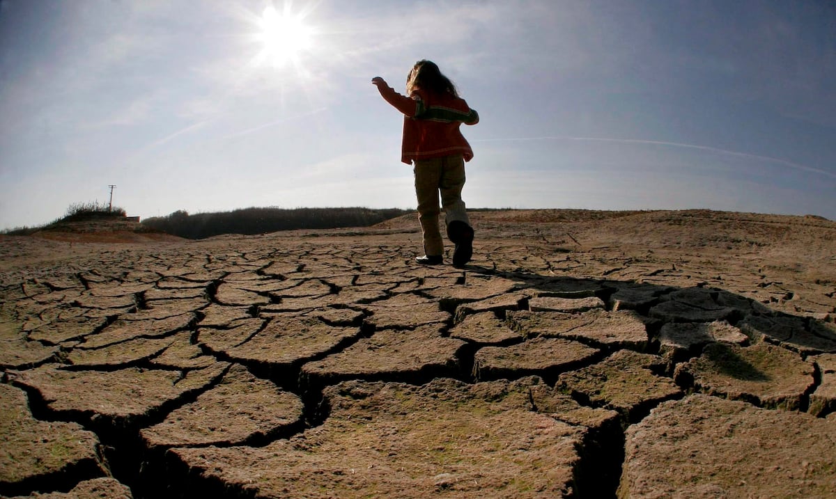Informe de la ONU: esfuerzos contra el cambio climático muestran leve avance