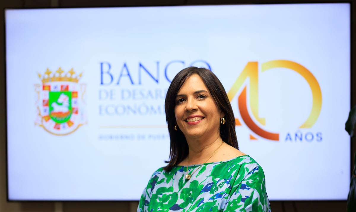 El Banco de Desarrollo Económico se propone elevar a $300 millones la cartera de préstamos