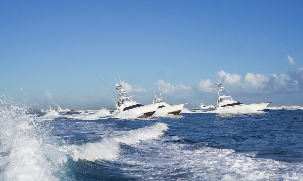 Arabita y Fishing Time arrancan al frente el Torneo Internacional de Pesca de Aguja Azul