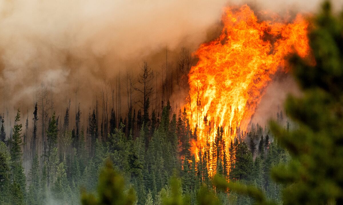 Canadá: incendios forestales rompen récords de área consumida, evacuaciones y costos