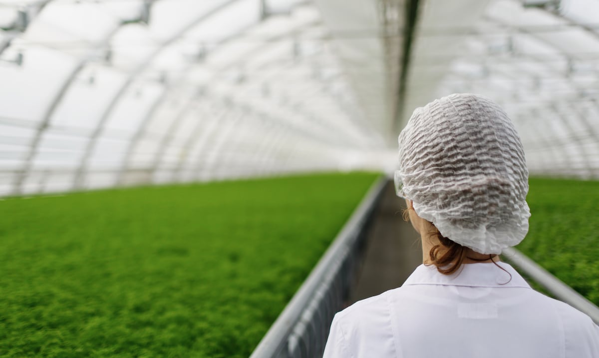 Opinión | Del laboratorio al mercado: traduciendo la ciencia