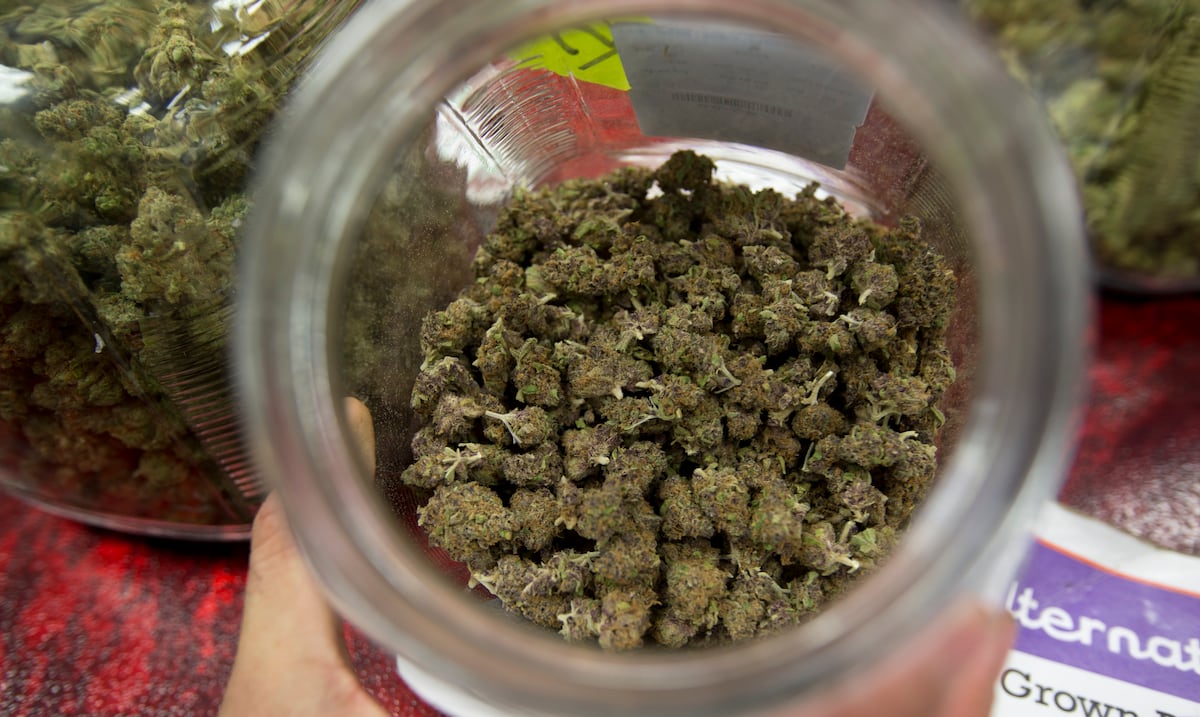 Se desvanece la bonanza prometida con el cannabis medicinal en Puerto Rico: ¿qué está pasando con el mercado?