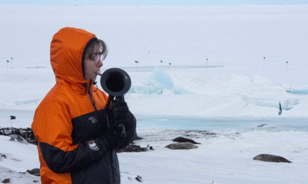En el escenario más frío del mundo, una música militar toca con una trompa de plástico y guantes dobles