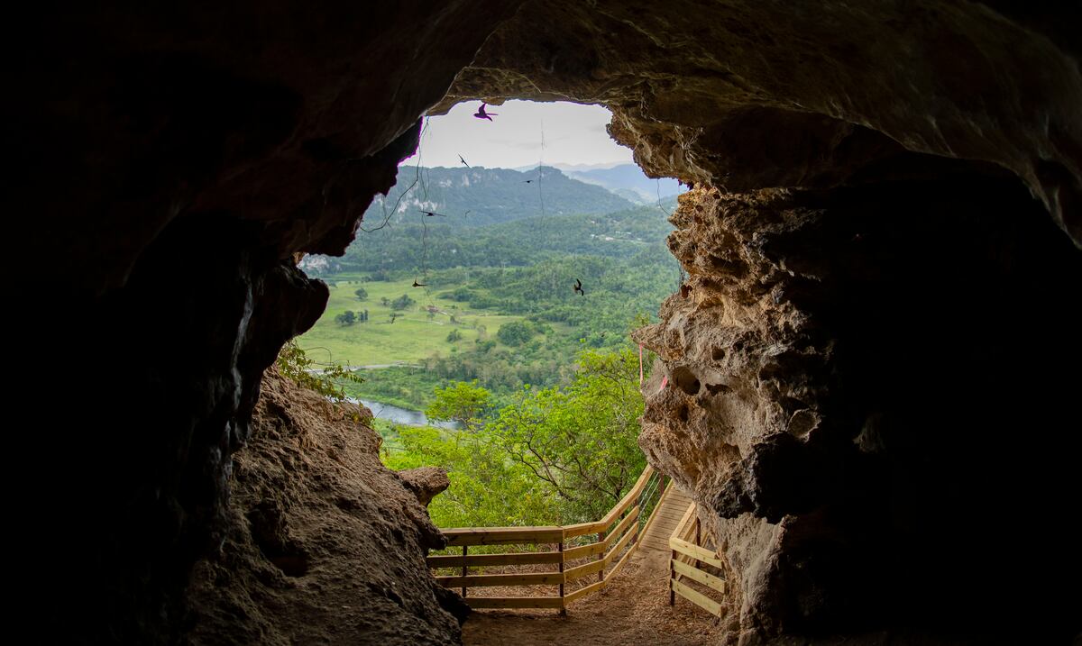 Paralizan construcción de nueva atracción del parque Aventura Cueva Ventana por falta de permisos