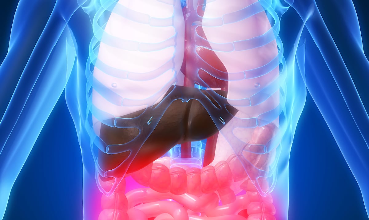 Enfermedades: cuáles son los “enemigos silenciosos” que afectan el cuerpo