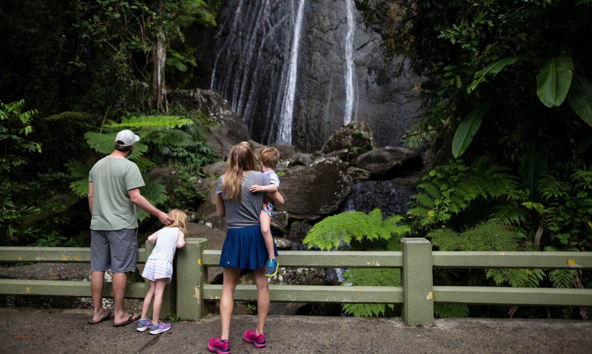 ¿Cómo funciona el sistema de reservas de El Yunque?