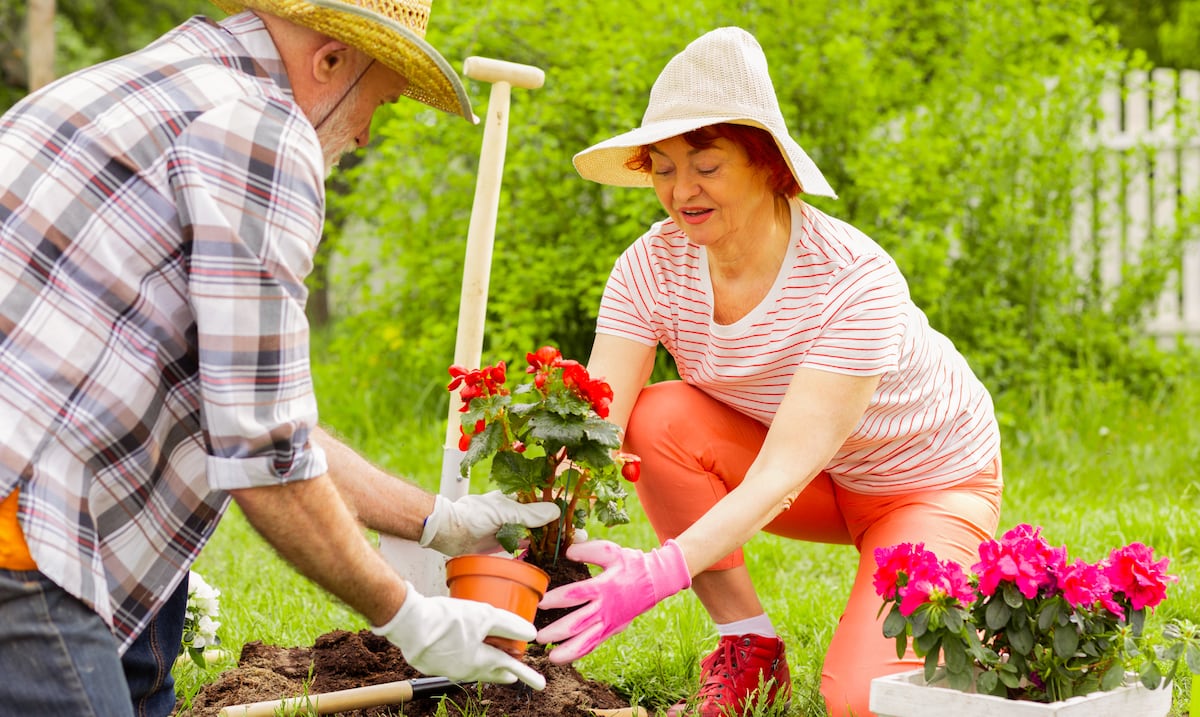 Practicar jardinería en la vejez puede ayudar a florecer el cuerpo y la mente