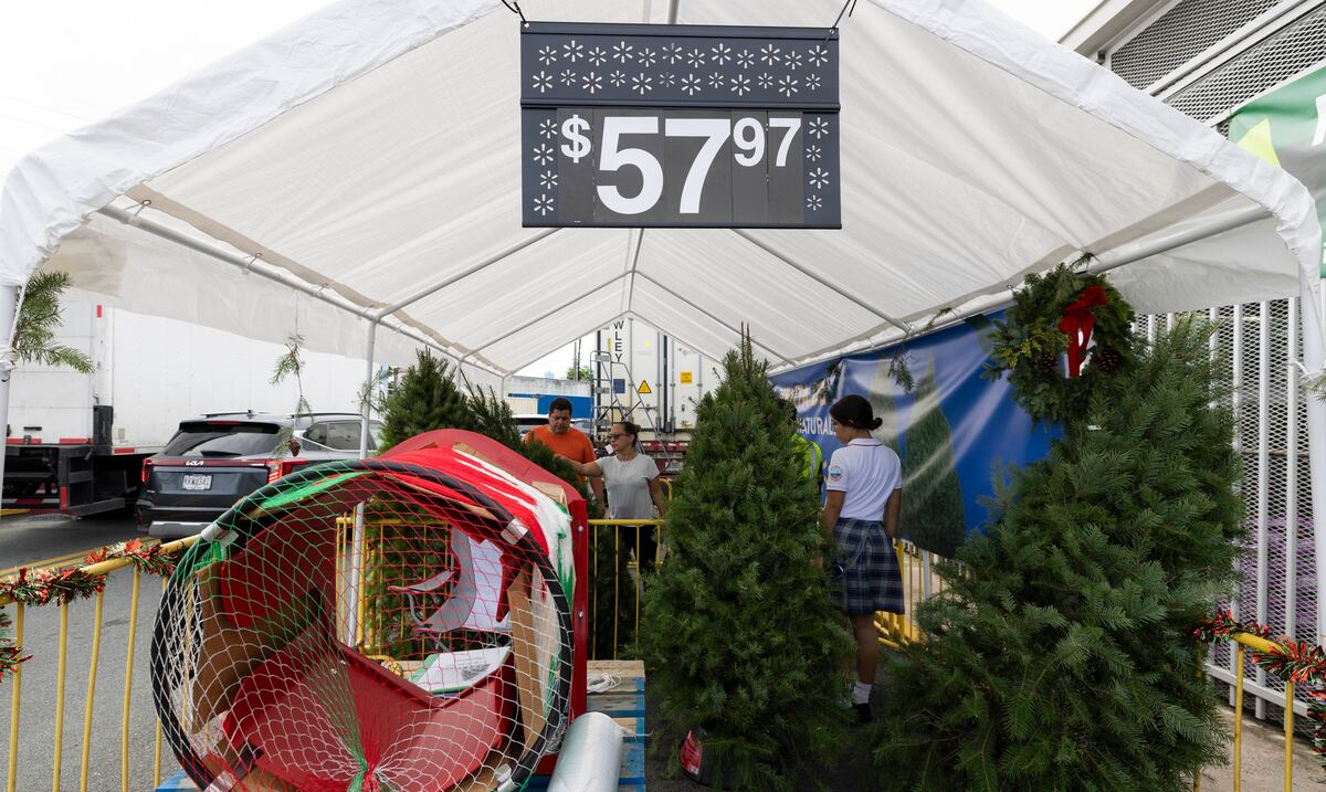 ¿Ya compraste el árbol de Navidad? Aquí las tiendas donde los puedes conseguir y a qué precios