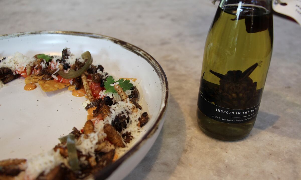 Las autoridades de Singapur aprueban el consumo de 16 especies de insectos