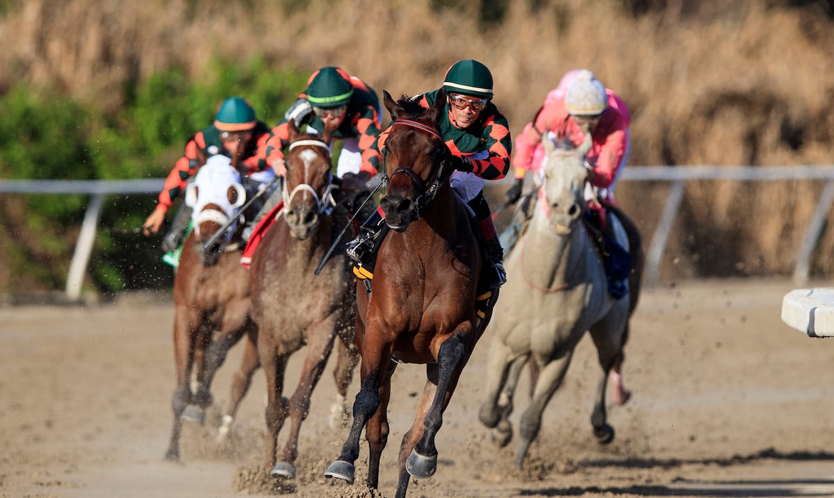 Giro por el bienestar animal: el Hipódromo Camarero prohíbe espuelas y limita el fuete