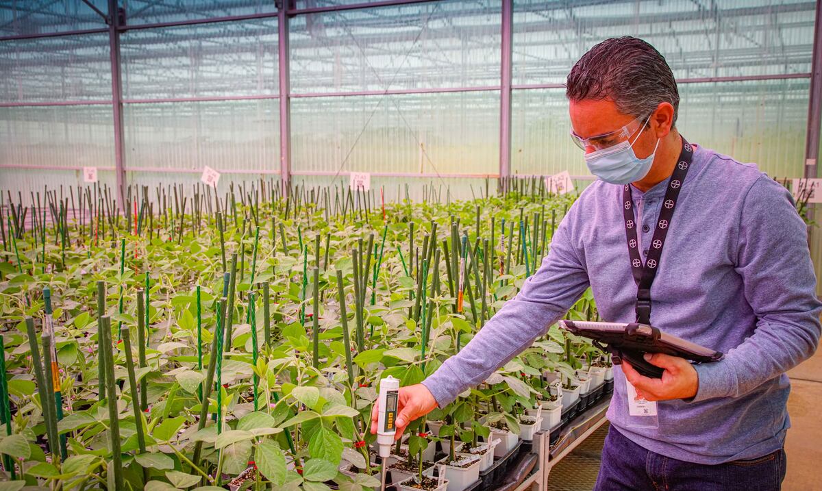 Millonario el impacto de la biotecnología agrícola en la isla