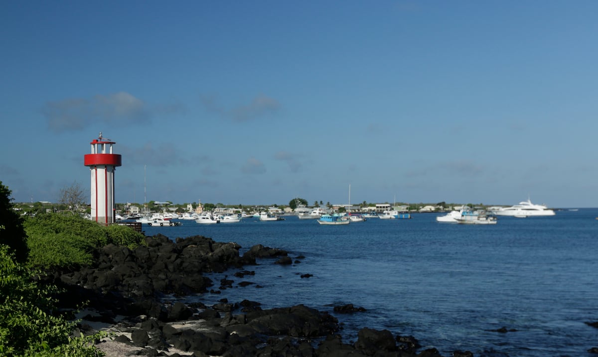 Seis personas, incluida una bebé, mueren en ataque armado en playa de Ecuador