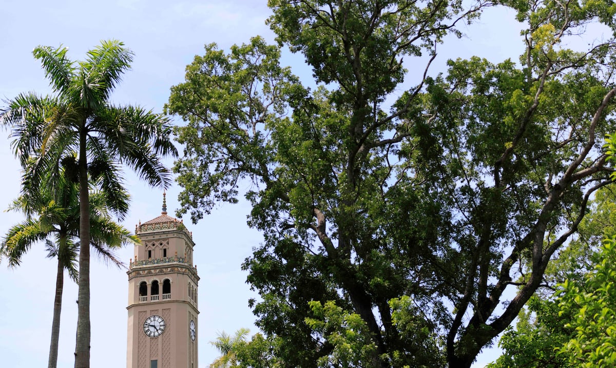 Opinión | Vigilar y castigar la universidad