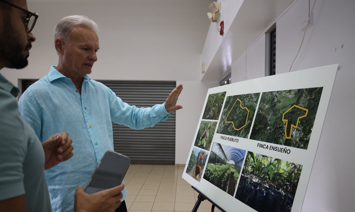 Bayamón apuesta al café y el cacao para diversificar su desarrollo económico