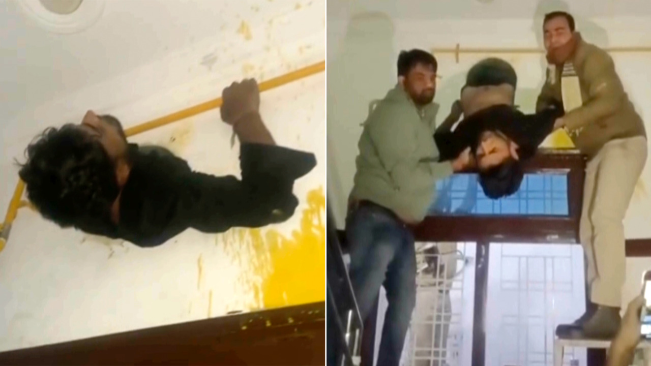 Pillo queda atrapado en una pared: el arresto viral que muchos comentan