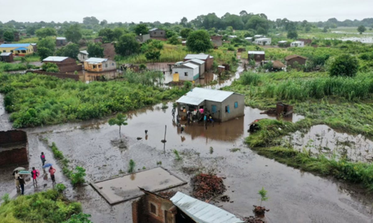 Inundaciones empujan cocodrilos a las ciudades mozambiqueñas mientras aumenta la preocupación sanitaria